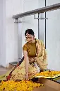 Anandini